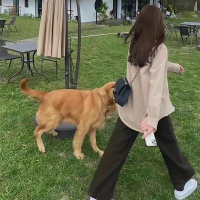 梨酒与香烟
