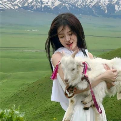 阿妮卡